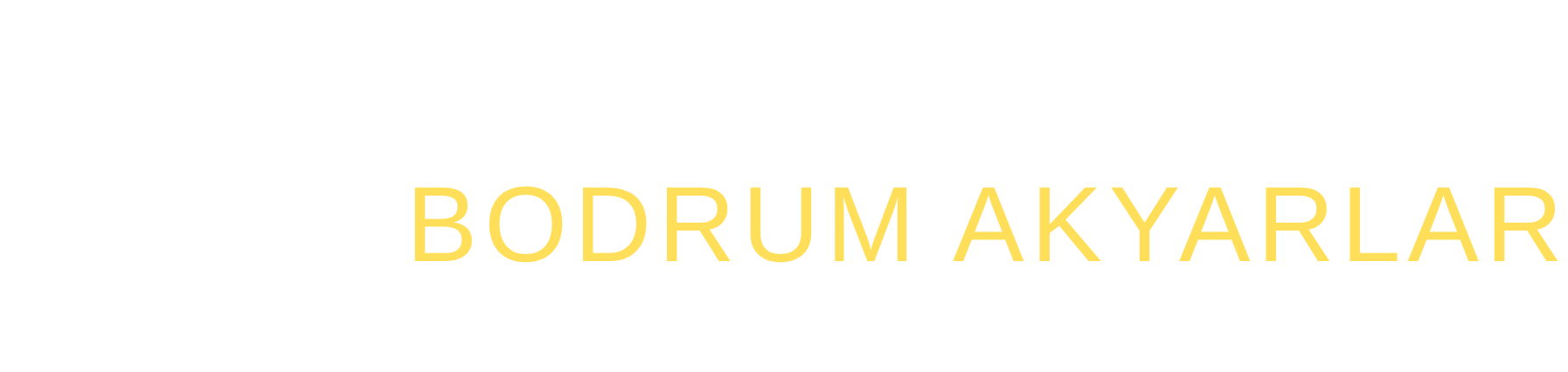 Footer Logo